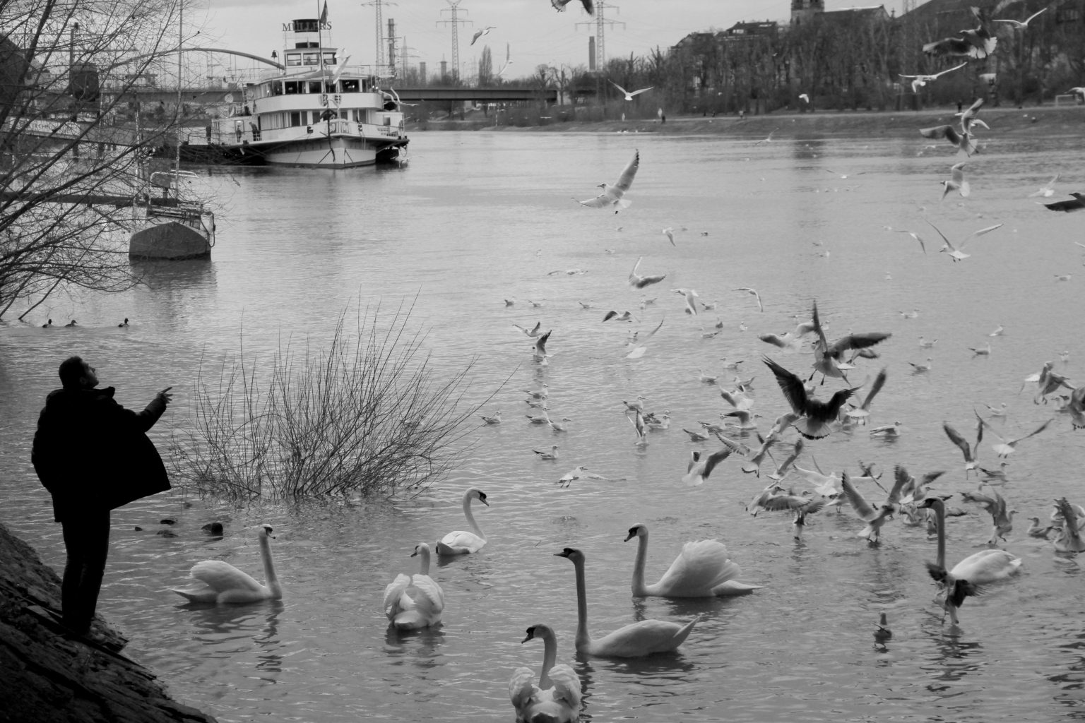 MARTILAR VE ADAM.SB MARTILAR VE ADAM.SB