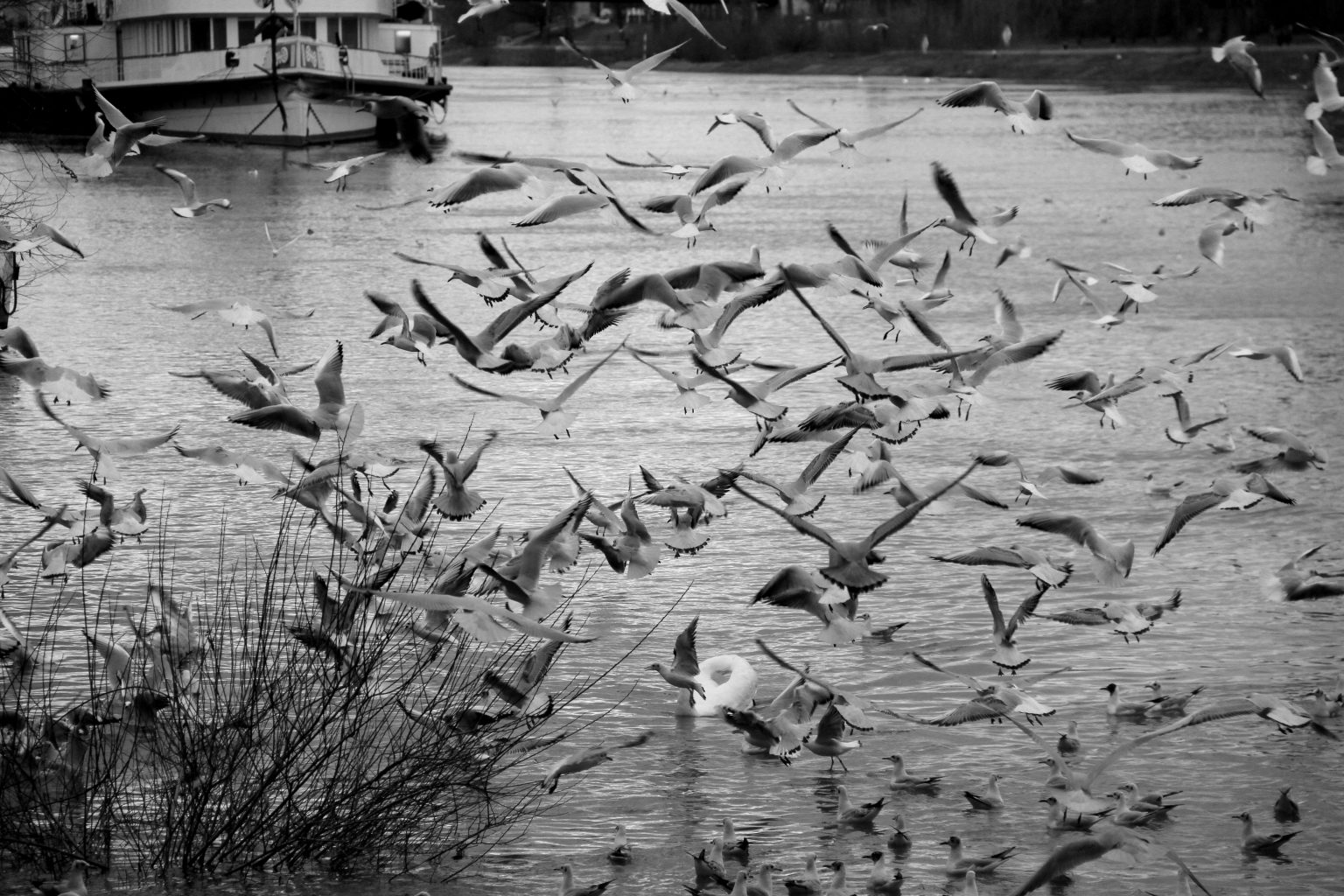 martilar 2.sb martilar 2.sb